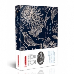 夏目漱石和他的一生