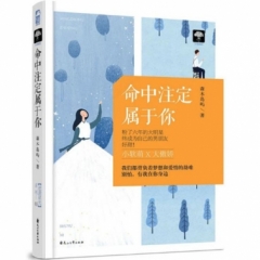 命中注定属于你（逆袭星光03）