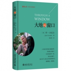 大地的窗口