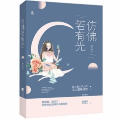 仿佛若有光