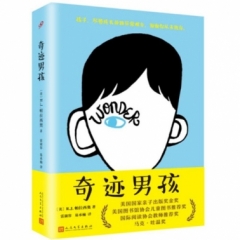 奇迹男孩（精装）