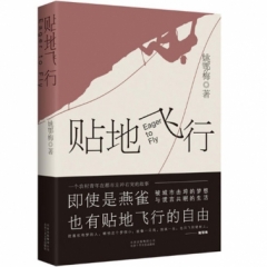 贴地飞行