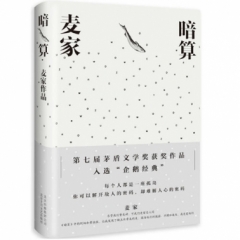 麦家：暗算（2018版）
