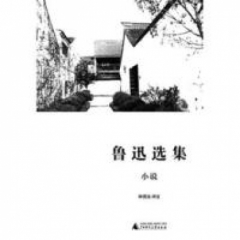 新民说  鲁迅选集·小说
