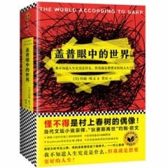 盖普眼中的世界