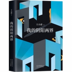 我的阴阳两界