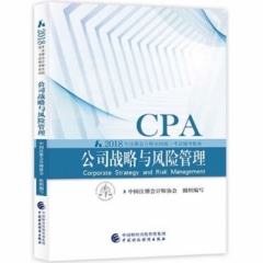 《公司战略与风险管理》