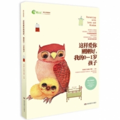 《这样爱你刚刚好，我的0-1岁孩子》