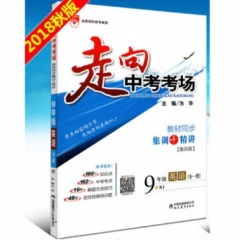 18：走向中考考场-九年级英语全一册(RJ版)