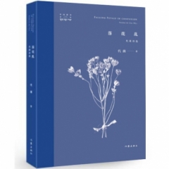 落花乱：代薇诗选