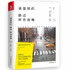 我想陪你路过所有夜晚