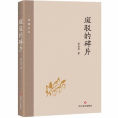 斑驳的碎片/译家之言