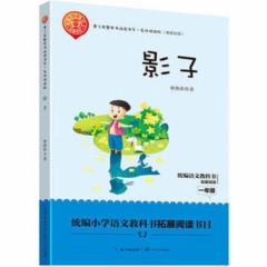 影子（青少年整本书阅读书系·名师讲读版）
