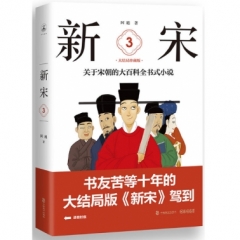 新宋·3 大结局珍藏版（关于宋朝的大百科全书式小说 ）